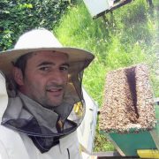 cosmin apicultor albine carpatina